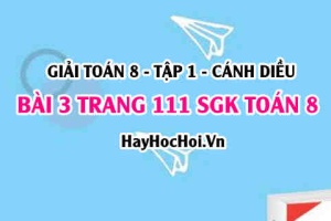 Giải bài 3 trang 111 Toán 8 Tập 1 SGK Cánh Diều
